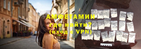 шишки Лабытнанги