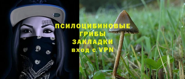 ПСИЛОЦИБИНОВЫЕ ГРИБЫ Лагань