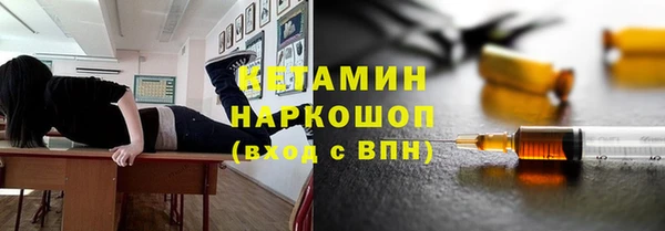 шишки Лабытнанги