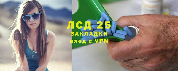 шишки Лабытнанги