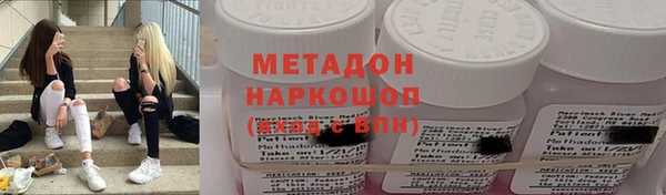 шишки Лабытнанги