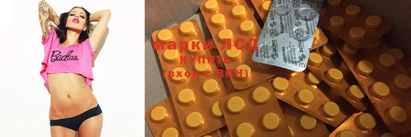 mdpv Домодедово