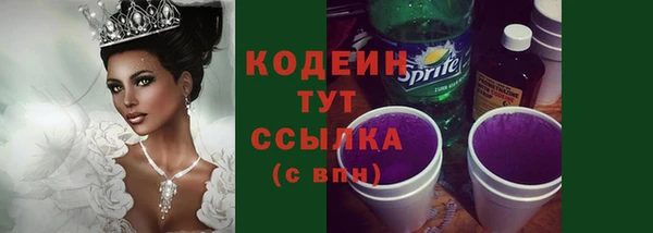 шишки Лабытнанги