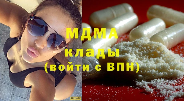 шишки Лабытнанги