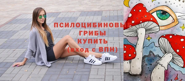 шишки Лабытнанги