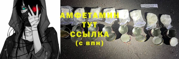 шишки Лабытнанги