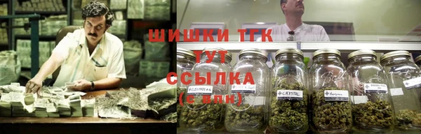 шишки Лабытнанги